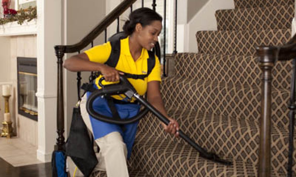The Ultimate Pet-Friendly House Cleaning Guide for Boston Pet Parents